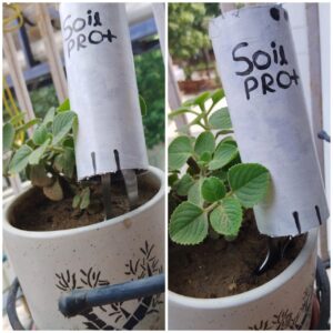 In-soil and upper view of Soil Pro+