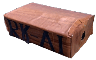 RK AI — Smarter. Faster. Yours.