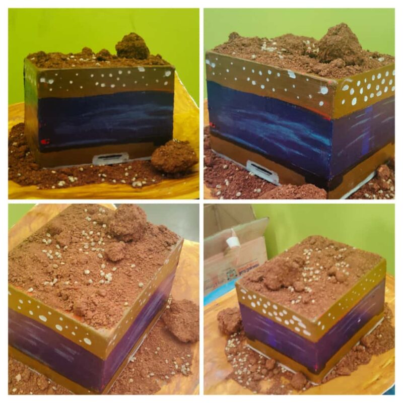 Agripod (Basic)(pack of 6)