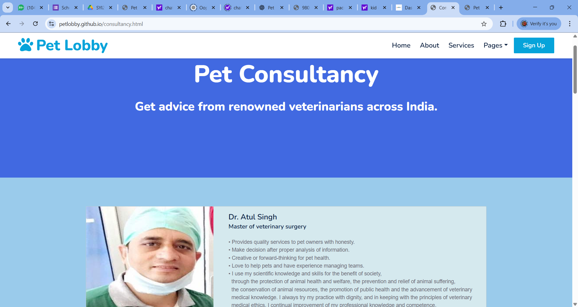 PET LOBBY - Image 6