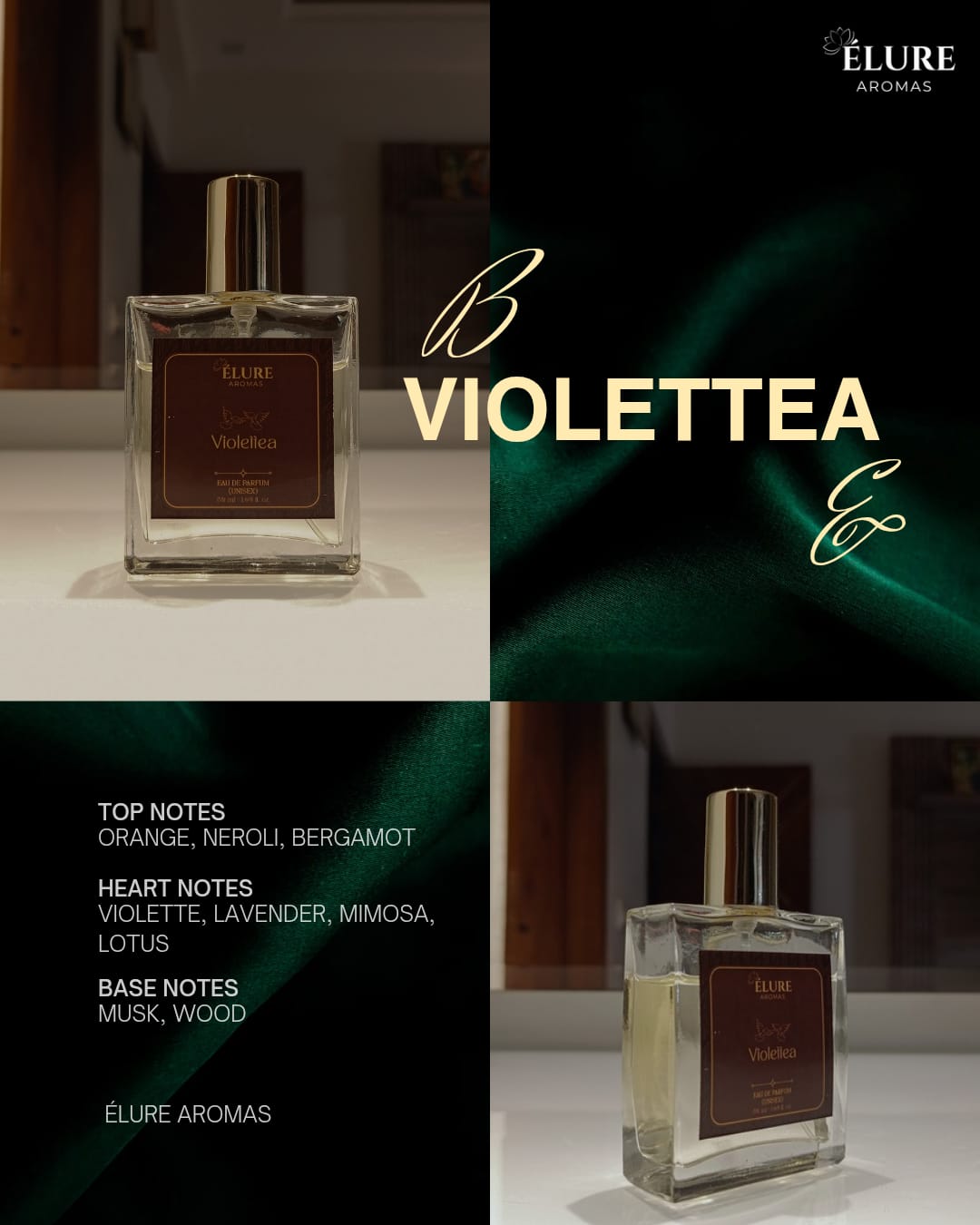 Violettea - Image 4