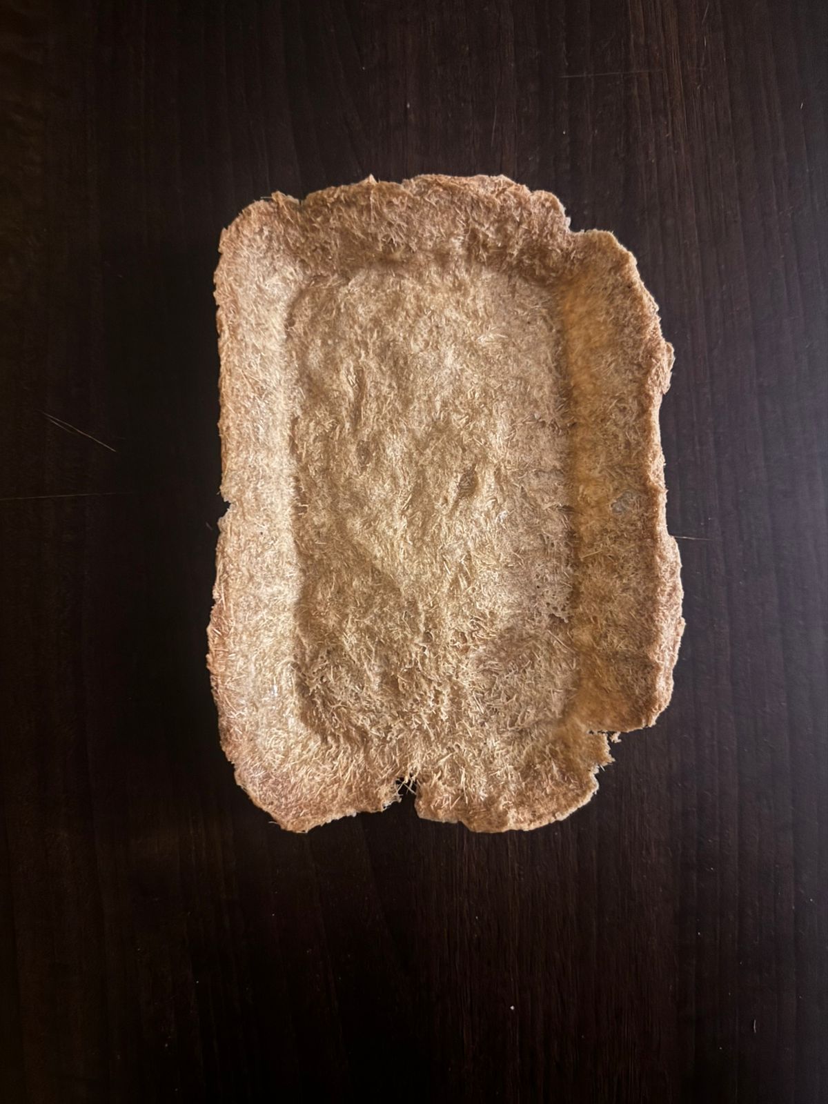 Bio Packaging - Image 2