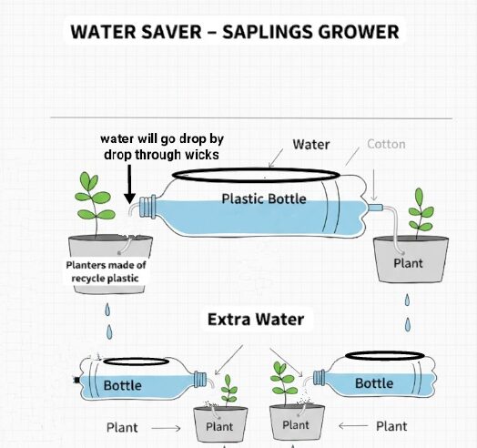 WATER SAVER – SAPLINGS GROWER