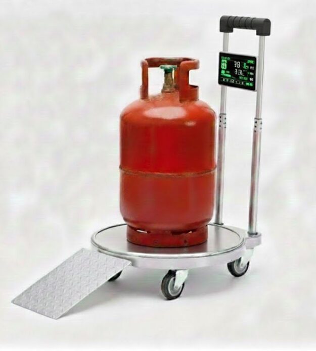 GasPro: A Smart LPG Regulator