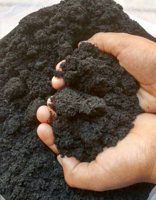 Biochar