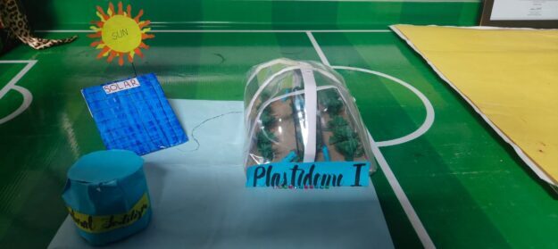 EcoGrow Panels Plastidome